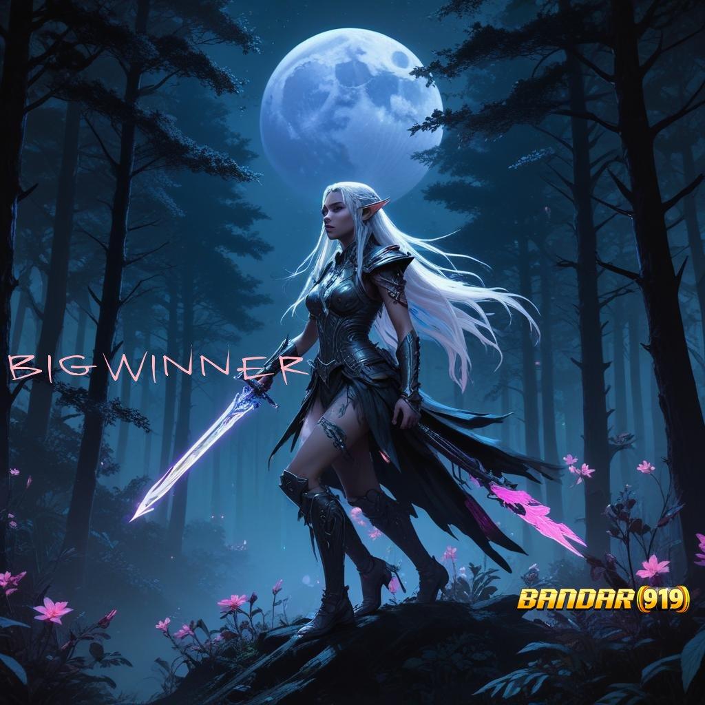 BIGWINNER 777 🥇 Layanan APK Versi Terkini Sarana Operasional