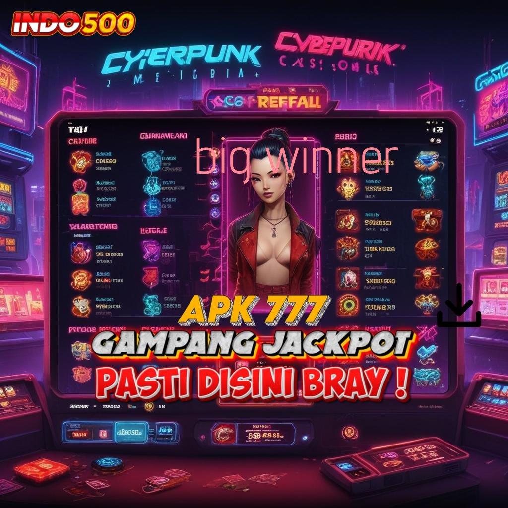 BIG WINNER struktur kapasitas ekosistem lingkup aplikasi