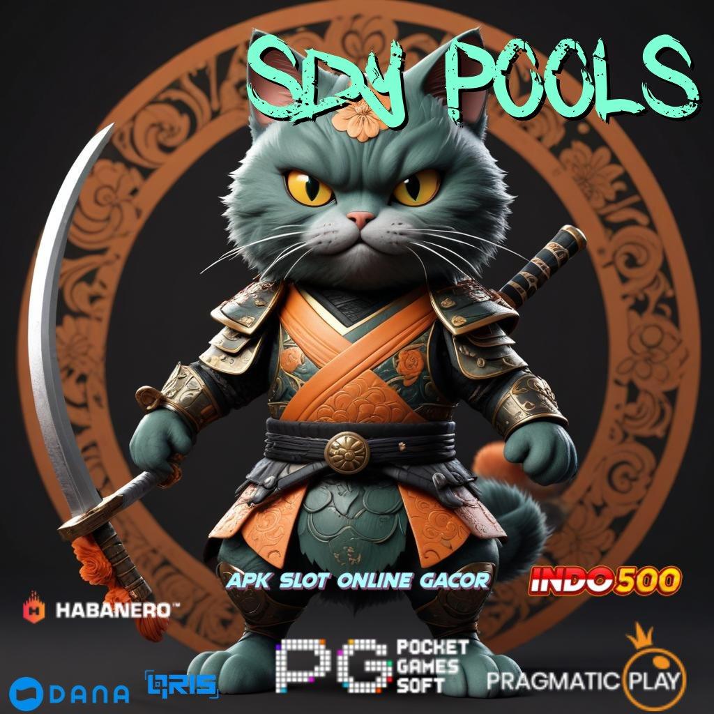 Sdy Pools